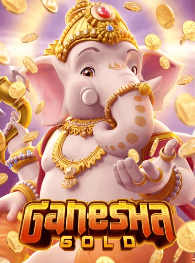 dv33